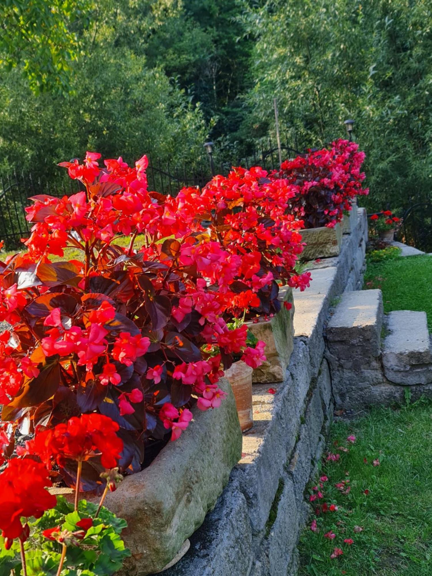 Sieraton Pokoje I Apartament Stronie Śląskie 외부 사진